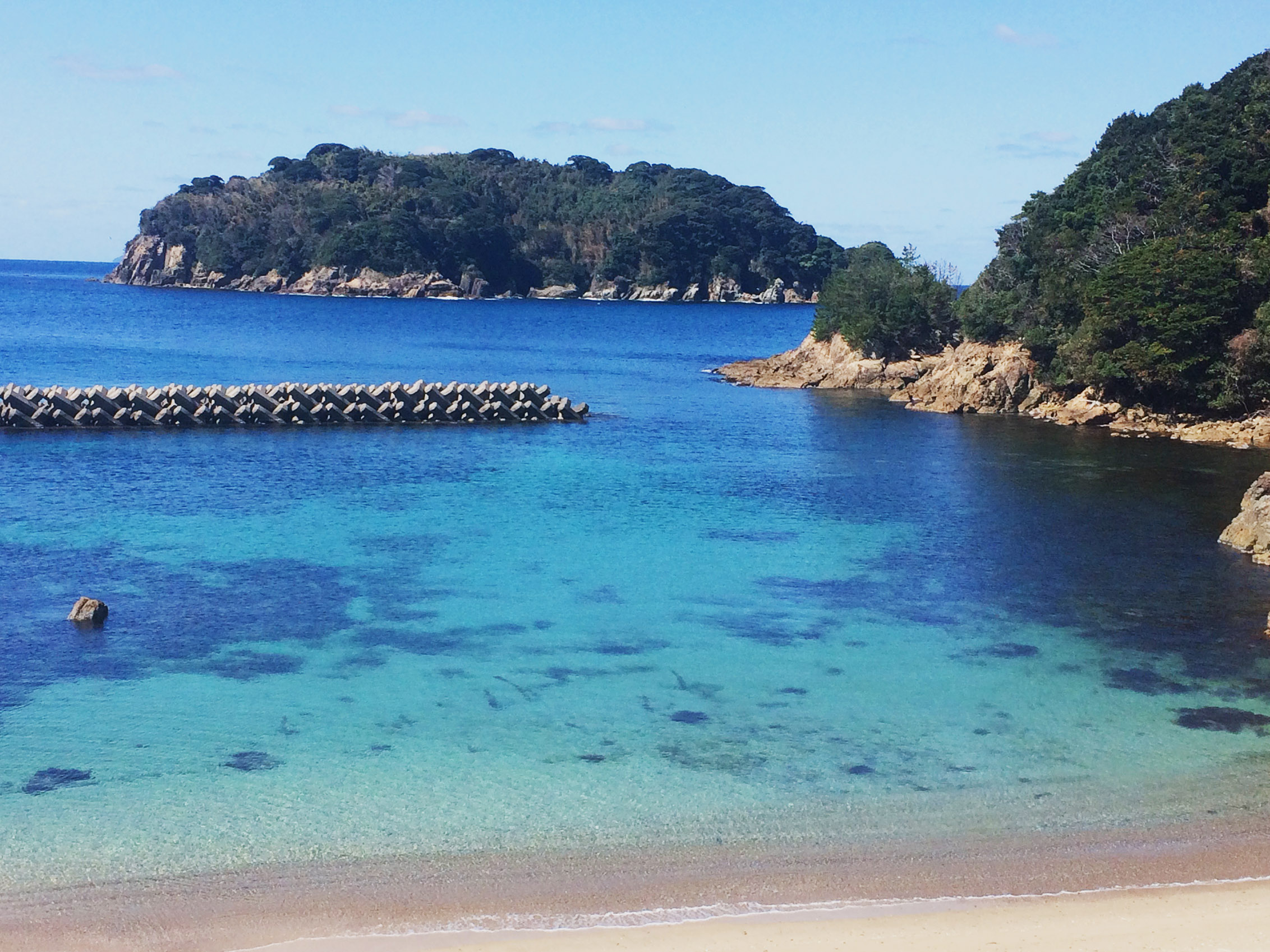 海
